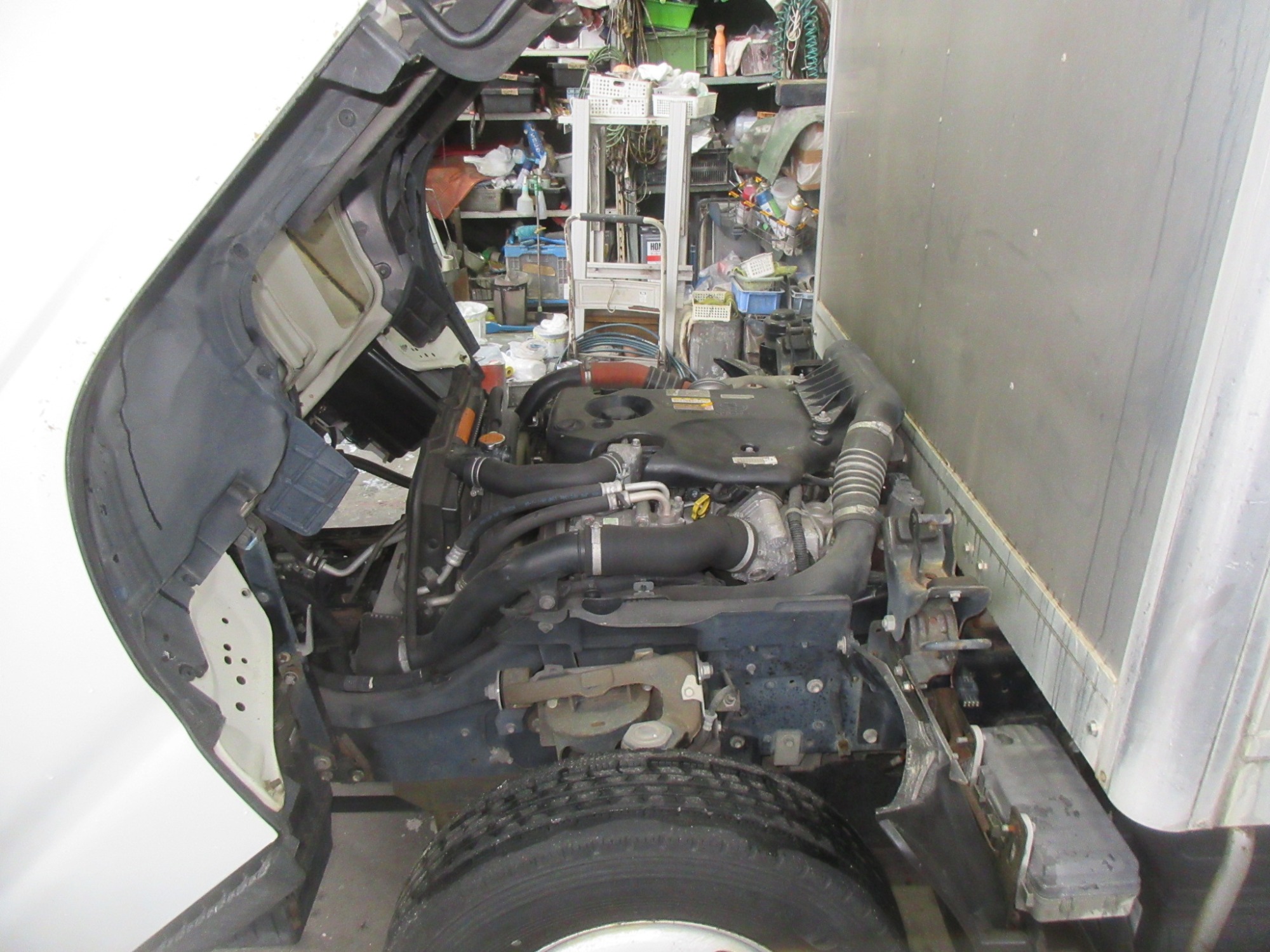 アトラス(エルフ)オープンバン