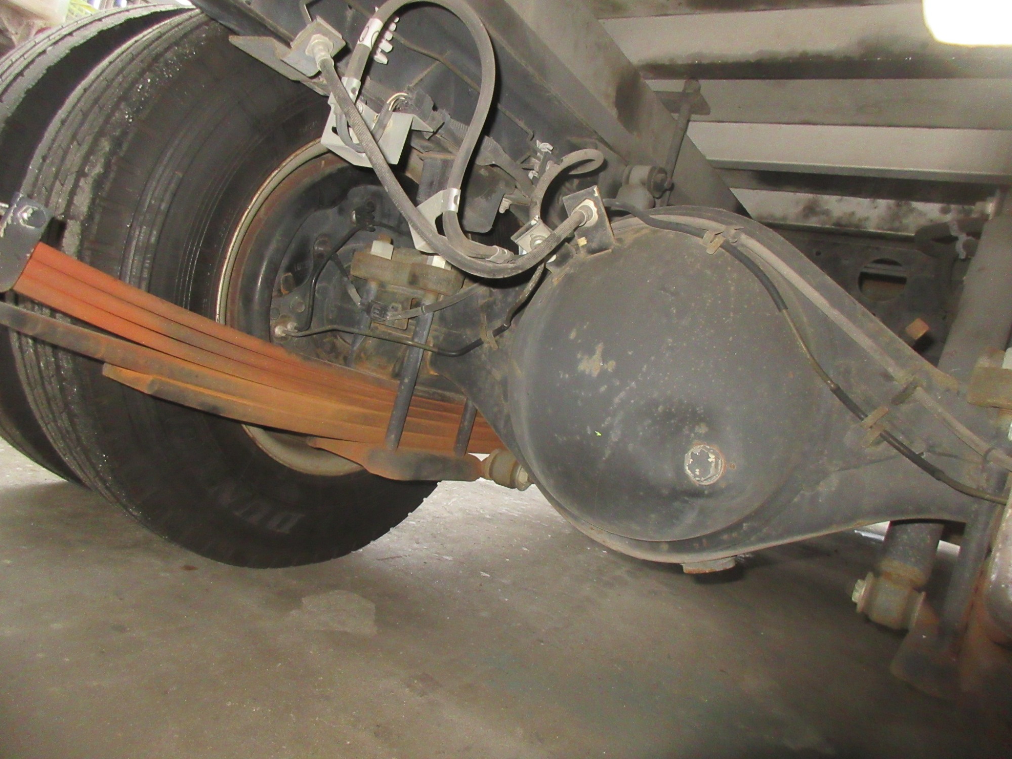 アトラス(エルフ)オープンバン